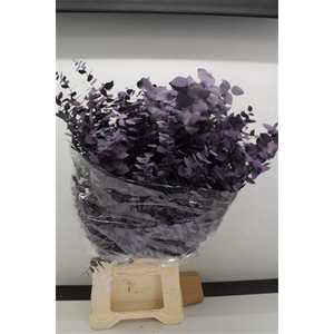 Stuartiana Stabi Milka 150 Gr