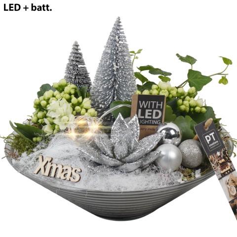 <h4>PTCHW4362 Arrangementen Kerst</h4>