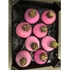 SIERFRUIT CUCUMIS GLITTER ROSE X16