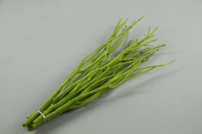 <h4>Mitsumata Flock OliveGr Bs(10)</h4>