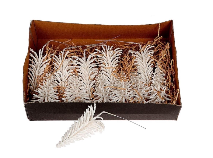 <h4>Deco Tree Picea Wax W9h17 White</h4>