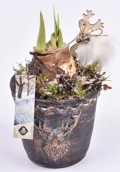 <h4>Cement rendier kop 13.5cm</h4>