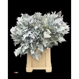 Eikeblad Frosted White 80cm