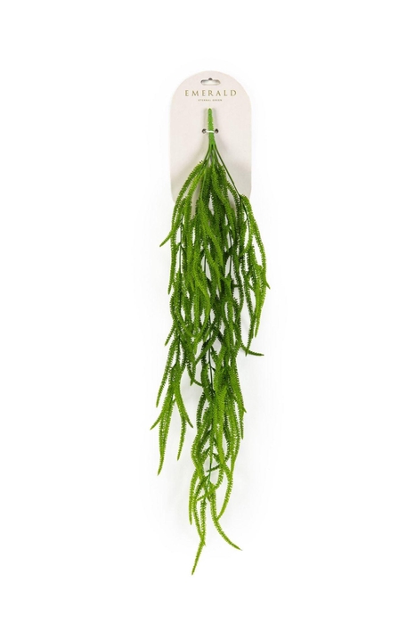 <h4>Amaranthus hangende struik grn 80cm</h4>