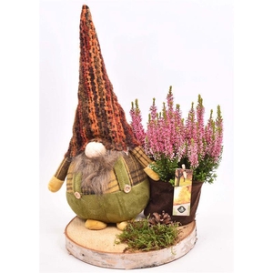 Boomschors schijf met gnoom 20cm
