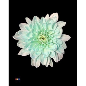 Chr T 2 Kl Baltica Pastel Mint