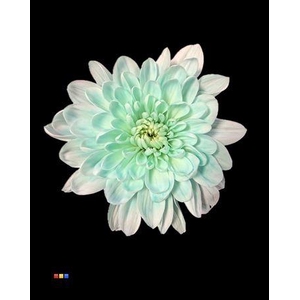 Chr T 2 Kl Baltica Pastel Mint