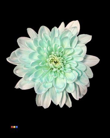 <h4>Chr T 2 Kl Baltica Pastel Mint</h4>