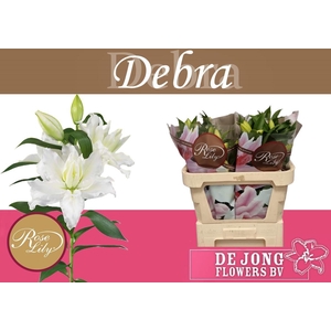 LI OR DU RL DEBRA