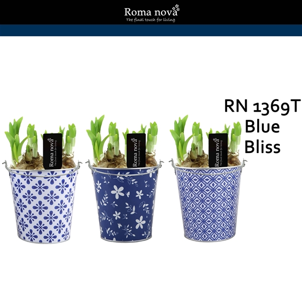 <h4>1369T - Blue Bliss (Tete a Tete)</h4>