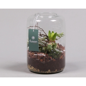 Green Bottle Isabella Small met Arrangement