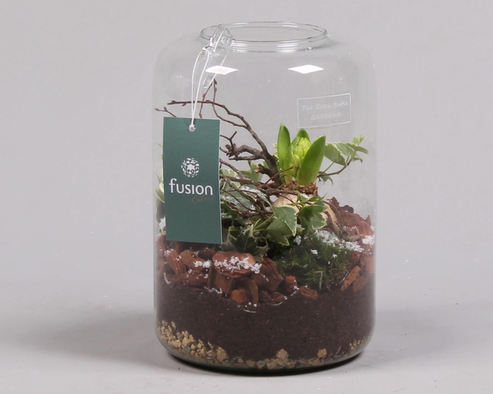 <h4>Green Bottle Isabella Small met Arrangement</h4>