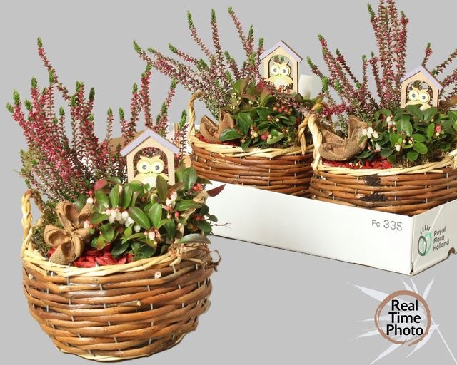 <h4>ARR GARDEN TWIG X2</h4>