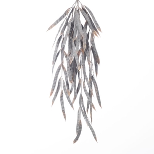 AF Hang Bush Bean x5 L82cm Bro