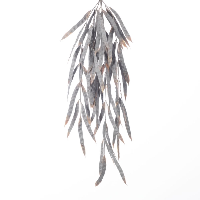 AF Hang Bush Bean x5 L82cm Bro