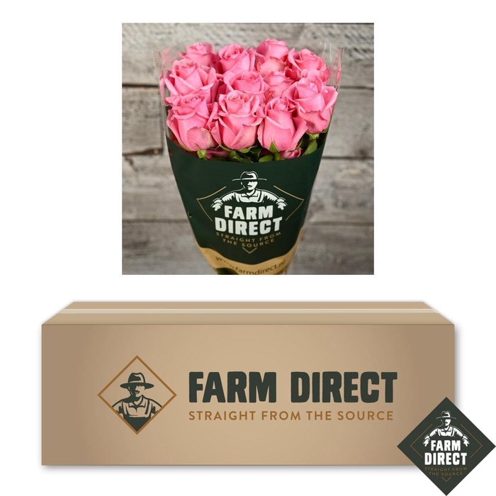 <h4>R GR OPALA BOX x50</h4>