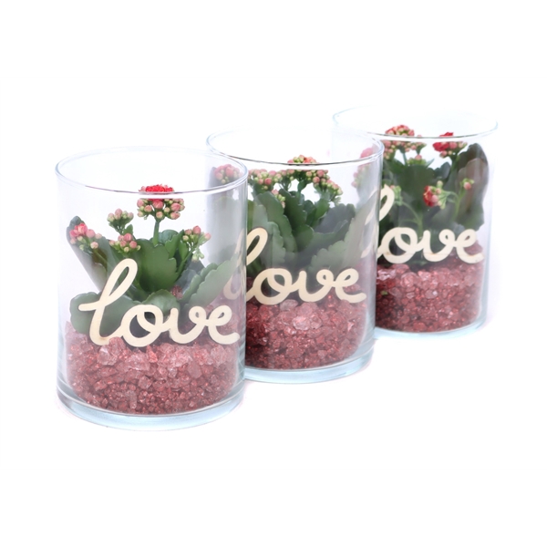 <h4>Opgemaakt cilinder glas met kalanchoe, roode steentjes en bijsteker</h4>