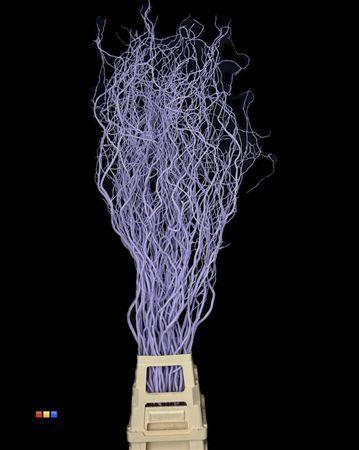 <h4>Salix 130cm Light Milka</h4>