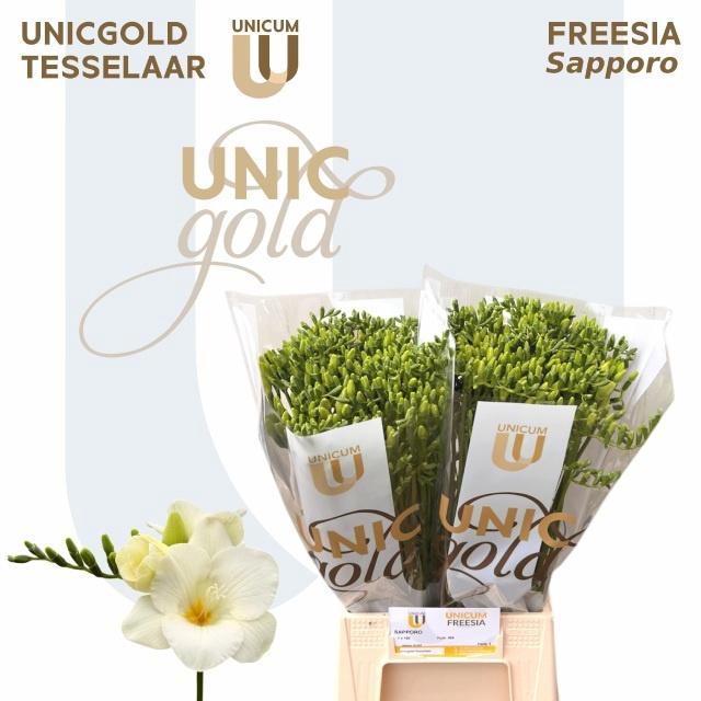 <h4>FR EN SAPPORO</h4>