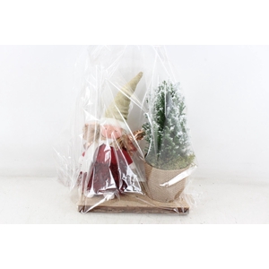 arr2 PL - Engel op plank picea