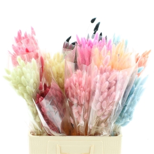 Dried Lagurus Mix Emmer