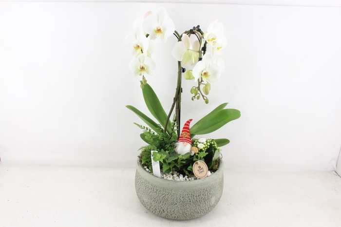 <h4>arr2 PL - Ker. barok groen paraplu</h4>