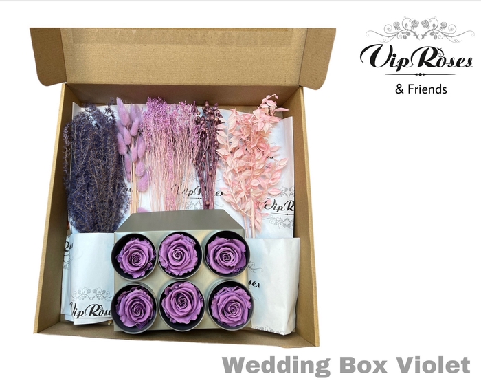 <h4>Dried Weddingbox Violet</h4>