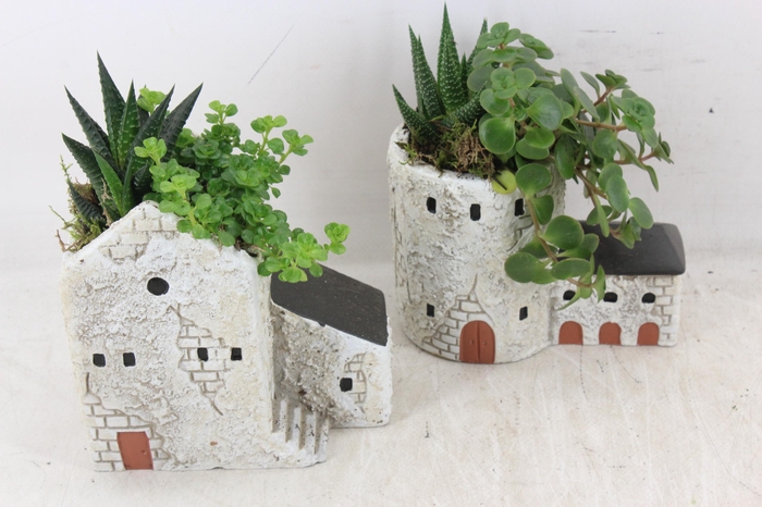 <h4>arr3 SN - Casa de la Torre x8</h4>