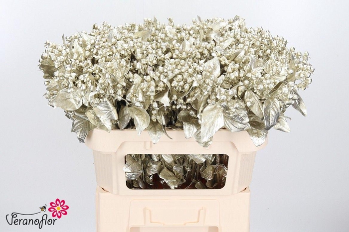 <h4>HYP OV KLB H%</h4>