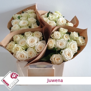 R GR JUWENA