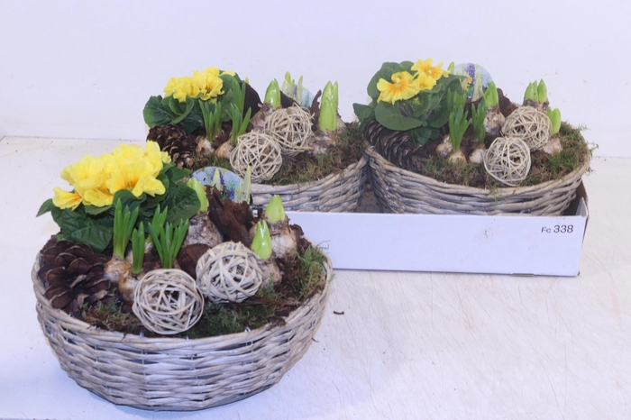 <h4>ARR TUINPLANTEN</h4>