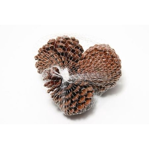 Pinecone Maritima 3 Pcs L10