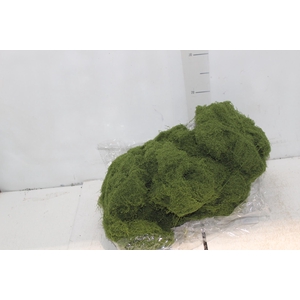 MUSGO MOSS LINE PCT 500G VERDE CLARO