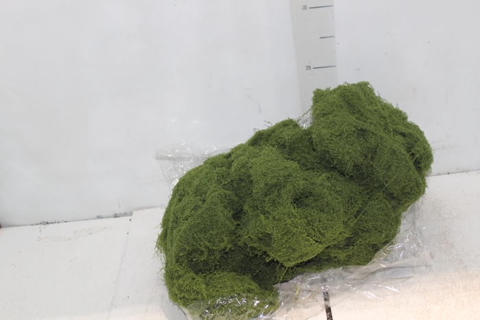 <h4>MUSGO MOSS LINE PCT 500G VERDE CLARO</h4>