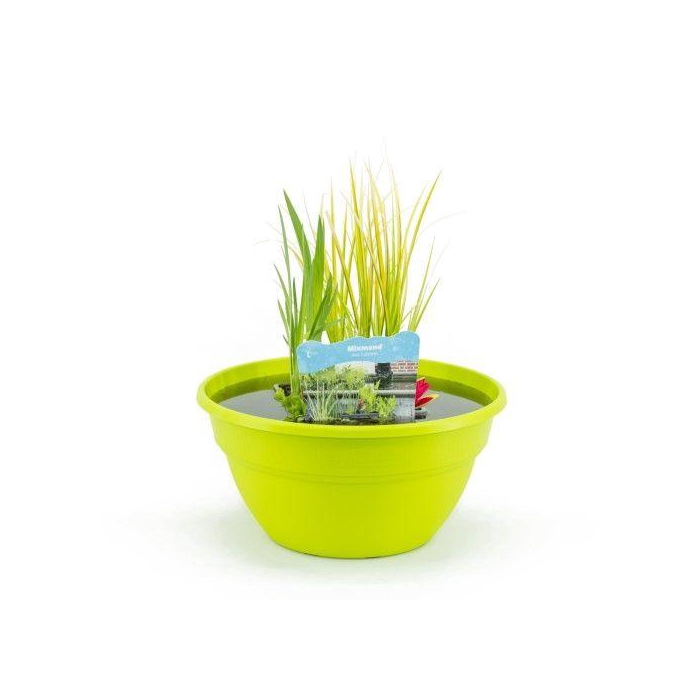 <h4>Terrasschaal Lime met mixmand</h4>