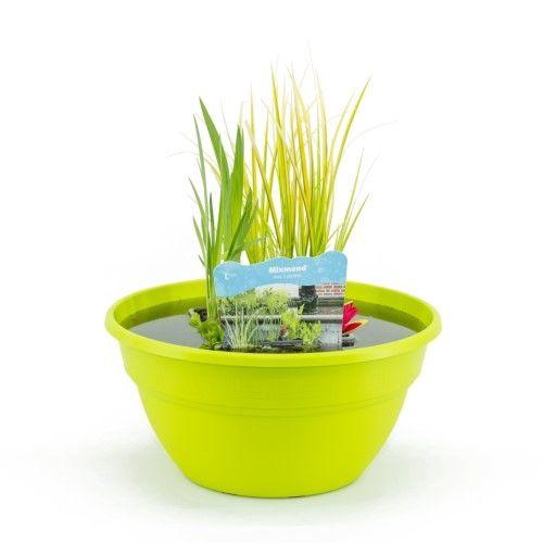 Terrasschaal Lime met mixmand