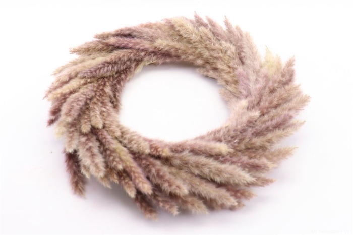 <h4>Wr Fluffy Pampas 45cm Natural</h4>