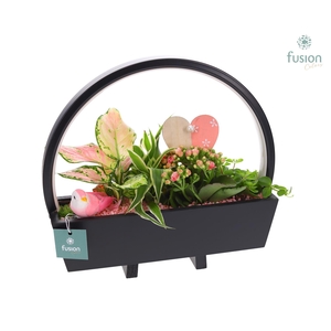 Lamp LED boog hout Love met arrangement