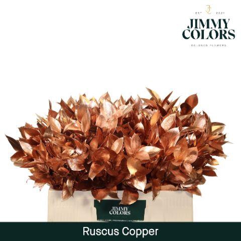 <h4>Ruscus L50 Mtlc. Copper</h4>