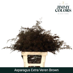 Aspa extra veren Brown