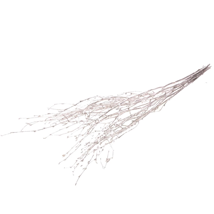 <h4>Birch 60cm 10pc Silver</h4>