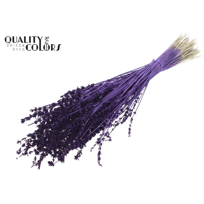 <h4>Lavendel per bunch Purple</h4>