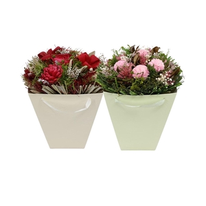 Droogbloemen bewerkt H%