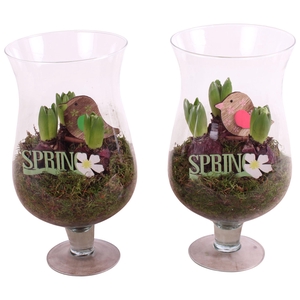 Bulbs Arr. Hyacint Glass Cognac Ø17cm 3PP