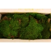 Pres Flatmoss Mossgreen 5kg Box