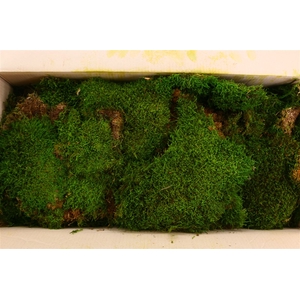 Pres Indian Moss Apple Green 1kg Loose