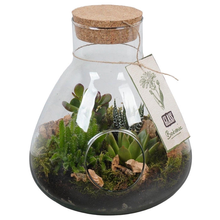 <h4>PTGIG2155 Arrangement Greens in glass in glazen terrarium</h4>