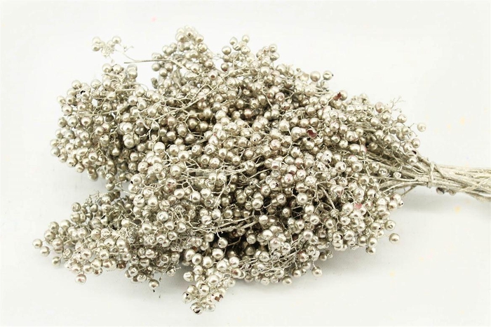 <h4>Schinus M Pt Platinum Bunch</h4>