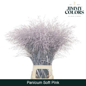 Siergras L90 Klbh. Licht Roze