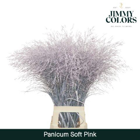 <h4>Siergras L90 Klbh. Licht Roze</h4>